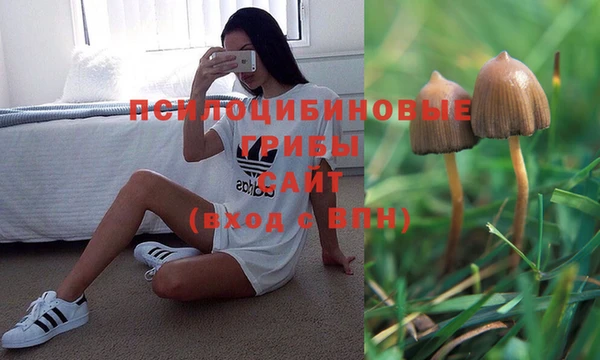 эйфоретик Верея
